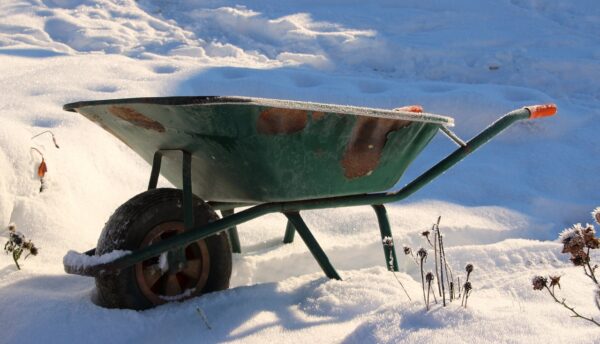 wheelbarrow, old, rusty
