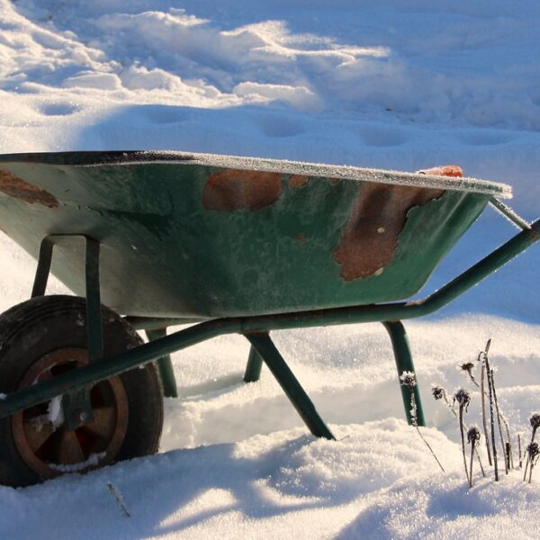 wheelbarrow, old, rusty